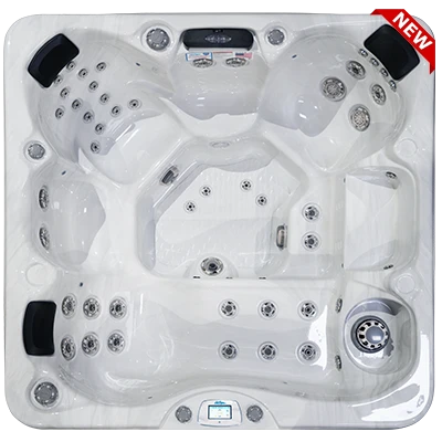 Avalon-X EC-849LX hot tubs for sale in Highland